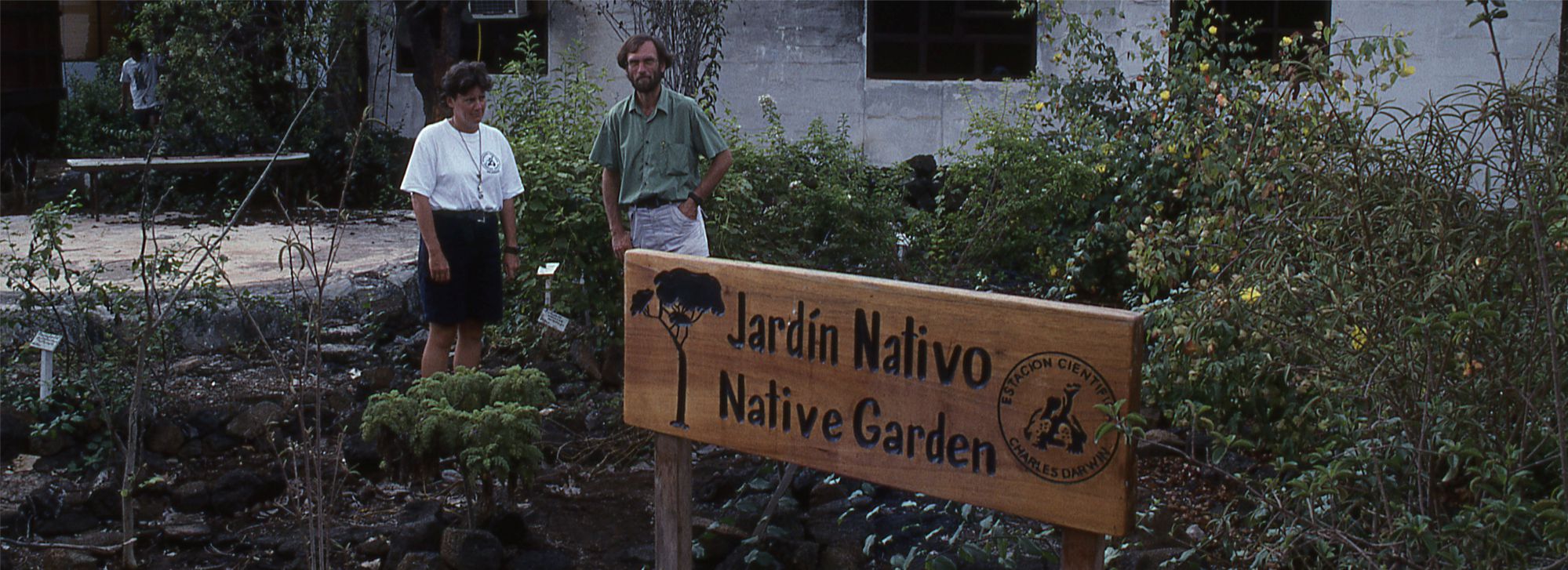 Wooden signs