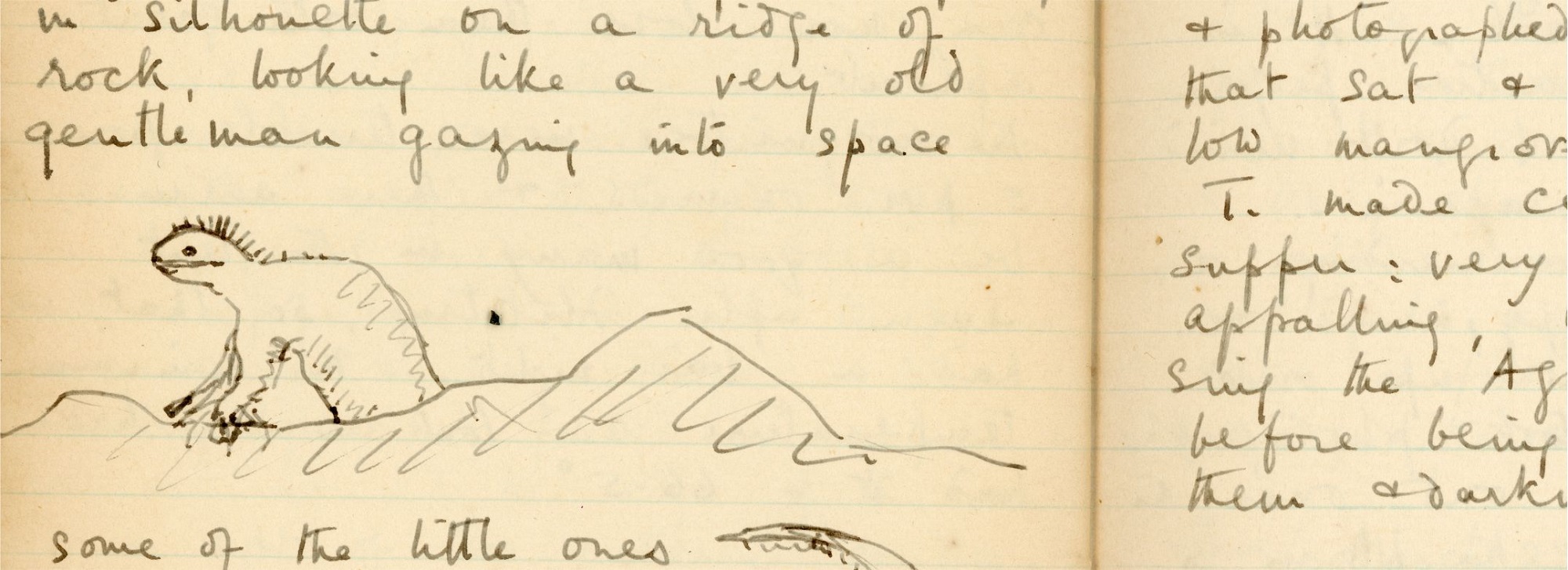 Georgina Taylor's manuscript